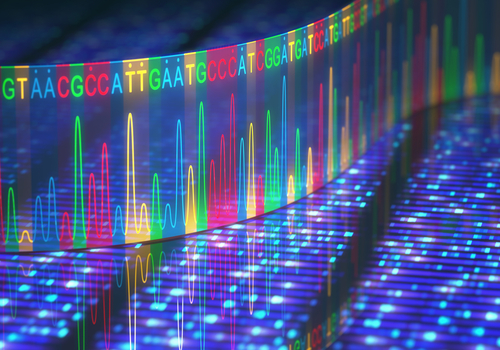 Case Report Describes Novel ALD-causing Gene Mutation